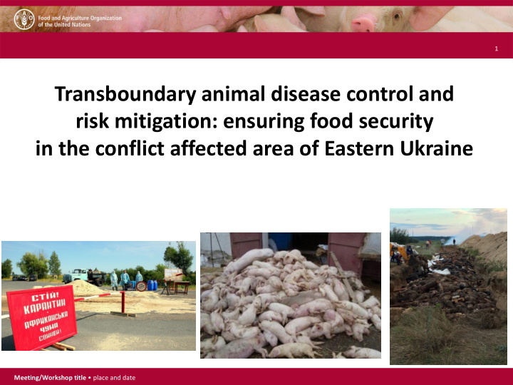 risk mitigation ensuring food security