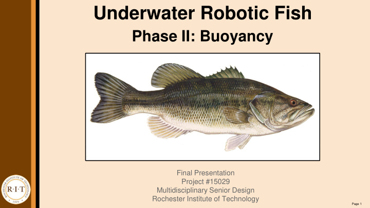 underwater robotic fish