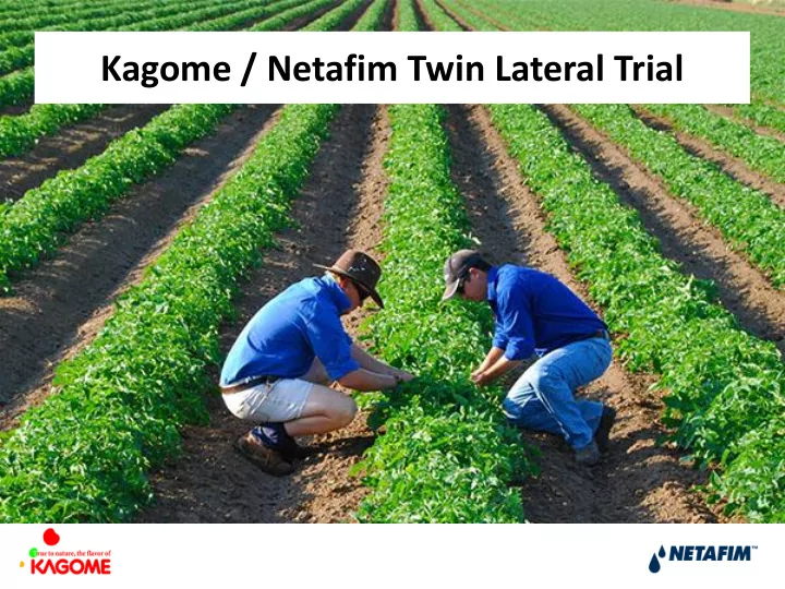kagome netafim twin lateral trial kagome netafim twin