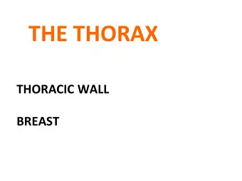 THE THORAX  THORACIC WALL  BREAST  THE THORAX  THORACIC WALL   BREAST   THE THORAX  THORACIC