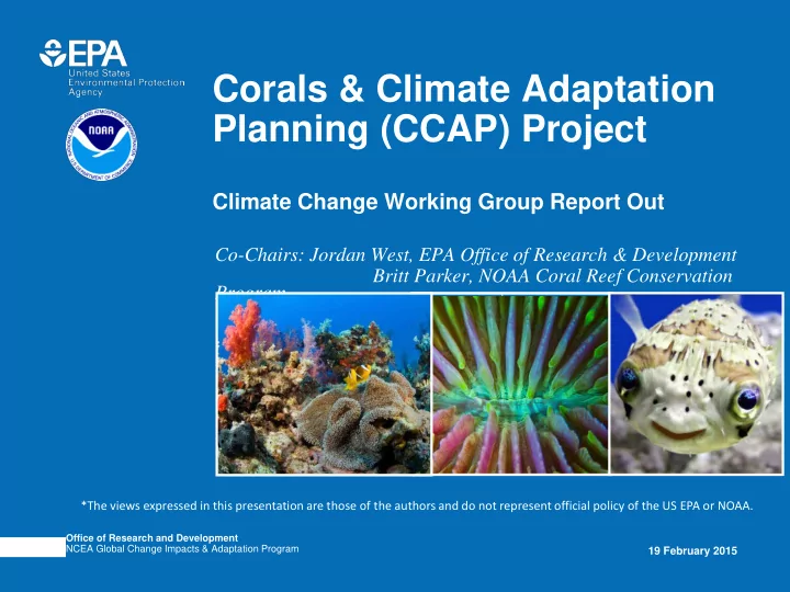 corals amp climate adaptation planning ccap project