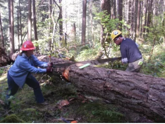 1  Bucking Only  Jan 2018  2  Course Overview  Saw Safety Course  For Trainee Saw Operators