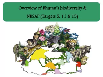 Overvie  iew of  f Bhut  hutan  ns b  s bio  iodiv  iversit  sity &amp;  &amp;  NBSAP (Targe