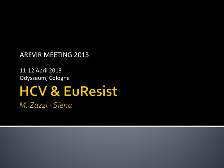arevir meeting 2013