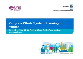 Croydon Whole System Planning for  Winter  Scrutiny Health &amp; Social Care Sub-Committee