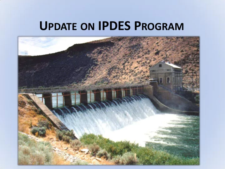 u pdate on ipdes p rogram background