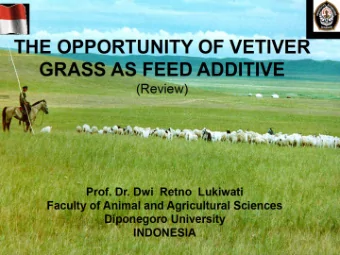 Common name: Khas-khas grass  Africa Vetiver  Europe  Khus-khus, khas, cus-cus  - India Usar,