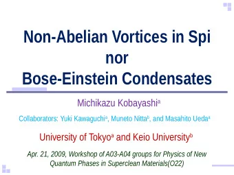 Non-Abelian Vortices in Spi  nor  Bose-Einstein Condensates Michikazu Kobayashi a Collaborators: