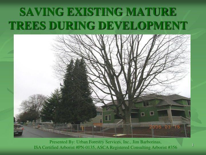 saving existing mature trees during development