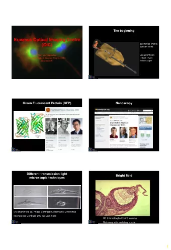 Erasmus Optical Imaging Centre  Zacherias (Hans)  (OIC)  Jansen 1595  Gert van Cappellen