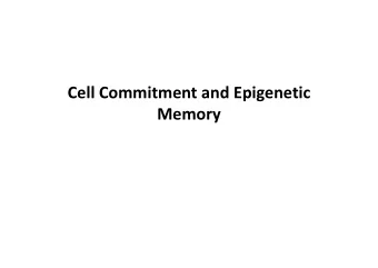 Cell Commitment and Epigenetic  Memory  Reprogramming  Embryonic stem cells  Lineage potential