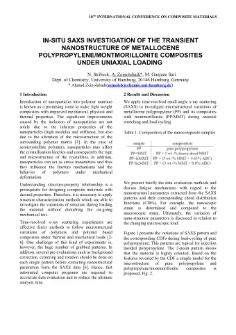 IN-SITU SAXS INVESTIGATION OF THE TRANSIENT  NANOSTRUCTURE OF METALLOCENE