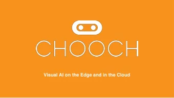 Visual AI on the Edge and in the Cloud  Easy Access to Earth Observation Data  Problems We Solve