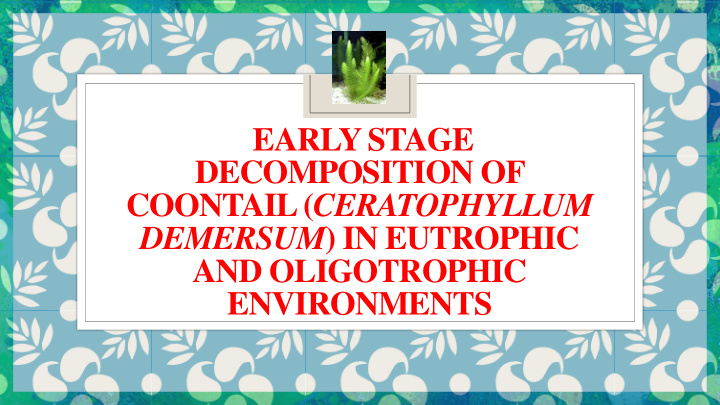 decomposition of