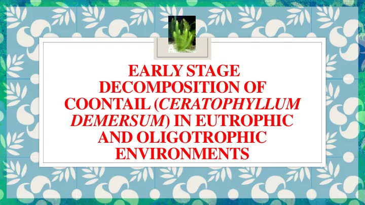 decomposition of