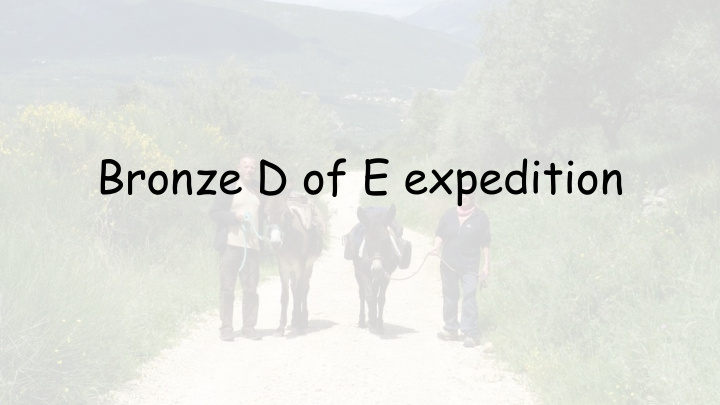 bronze d of e expedition