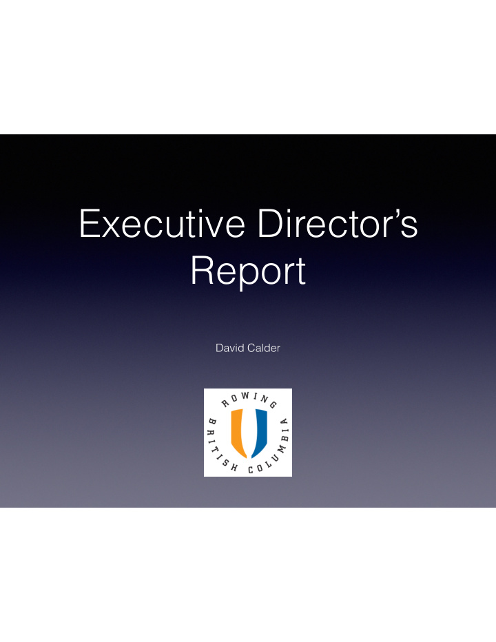 executive director s report