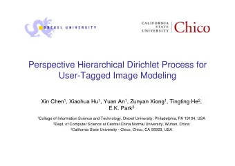 Perspective Hierarchical Dirichlet Process for  Perspective Hierarchical Dirichlet Process for