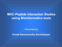 mhc peptide interaction studies using bioinformatics tools