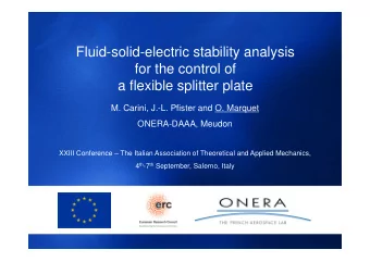 Fluid-solid-electric stability analysis  for the control of  a flexible splitter plate  M. Carini,