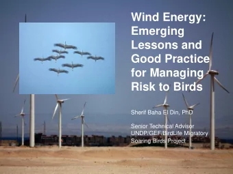 Emerging  Lessons and  Good Practice  for Managing  Risk to Birds  Sherif Baha El Din, PhD  Senior