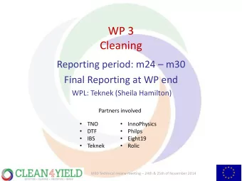 Cleaning Reporting period: m24  m30  Final Reporting at WP end  WPL: Teknek (Sheila Hamilton)