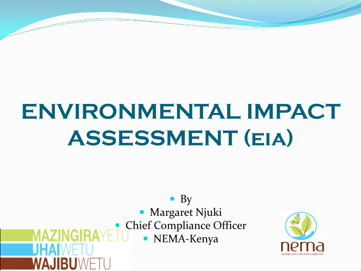 environmental impact assessment eia