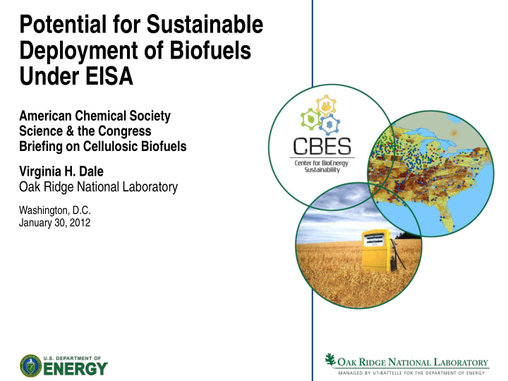 potential for sustainable deployment of biofuels under
