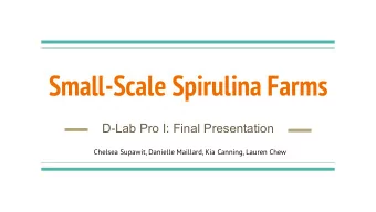 Small-Scale Spirulina Farms  D-Lab Pro I: Final Presentation  Chelsea Supawit, Danielle Maillard,