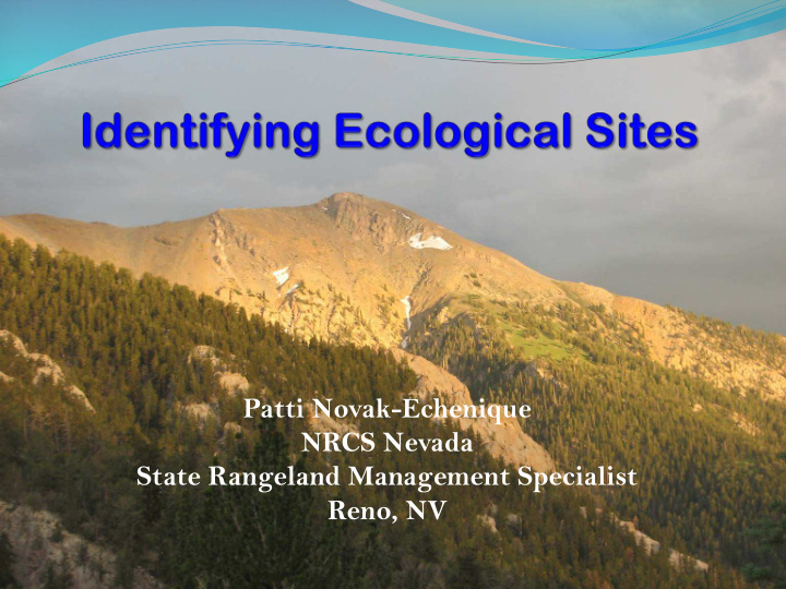 patti novak echenique nrcs nevada state rangeland