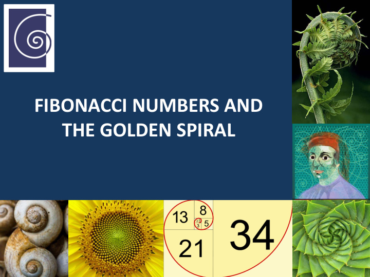 fibonacci numbers and