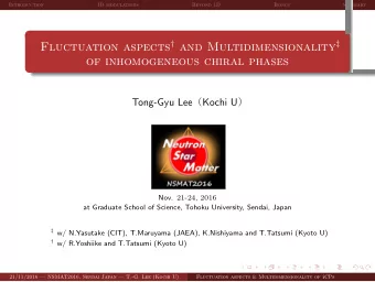 of inhomogeneous chiral phases  . Tong-Gyu Lee  Kochi U  Nov. 21 - 24 , 2016  at Graduate