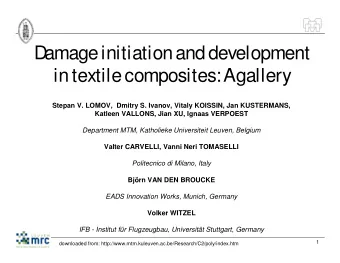 D  amage initiation and development  in textile composites: A  gallery  Stepan V. LOMOV,  Dmitry S.