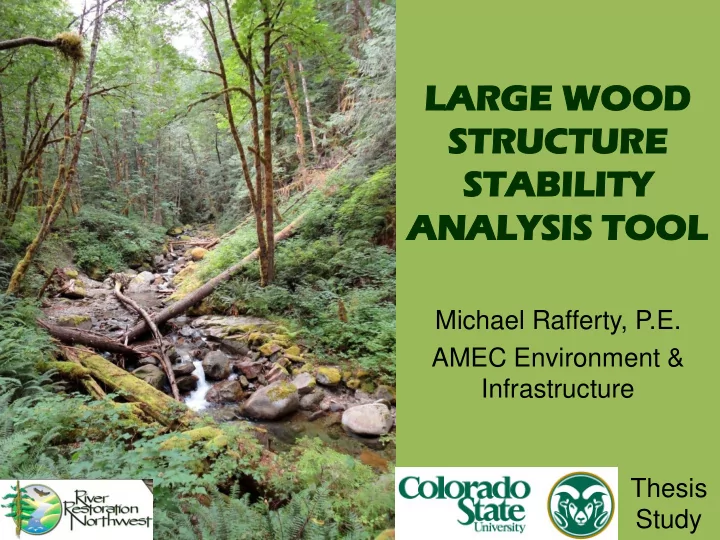 la large wood e wood structure re sta tability y an anal
