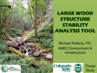 LA  LARGE WOOD  E WOOD  STRUCTURE  RE  STA  TABILITY  Y  AN  ANAL  ALYSIS T TOOL  Michael Rafferty,