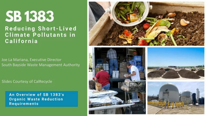 joe la mariana executive director south bayside waste