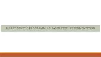 BINARY G  GENE  NETIC P  PROGRAMMI  MING B  BASED TEXTURE S  SEGMENT  NTATION  PROBLEM DEFINITION