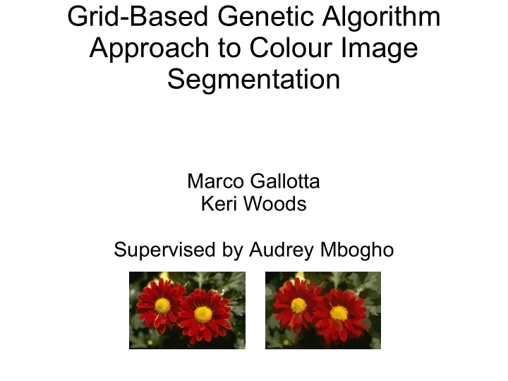 grid based genetic algorithm approach to colour image