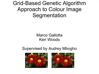Grid-Based Genetic Algorithm  Approach to Colour Image  Segmentation  Marco Gallotta  Keri Woods