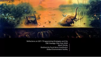 Biodiversity Focal Area Coordinator  Global Environment Facility  Outline  We are the GEF