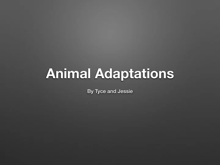 animal adaptations