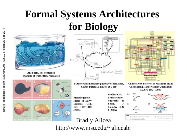 formal systems architectures for biology