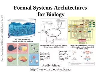 Formal Systems Architectures  for Biology  Nature Precedings : doi:10.1038/npre.2011.6369.2 :