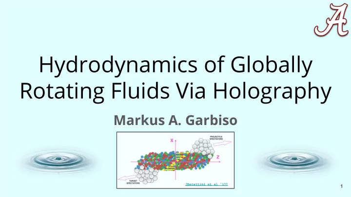hydrodynamics of globally rotating fluids via holography