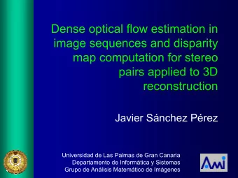 Dense optical flow estimation in  image sequences and disparity  map computation for stereo  pairs