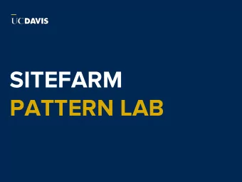 SITEFARM  PATTERN LAB  Mark Miller  IET Professional Services, Web  Development  Full Stack