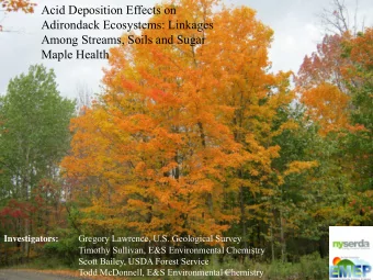 Acid Deposition Effects on  Adirondack Ecosystems: Linkages  Among Streams, Soils and Sugar Maple