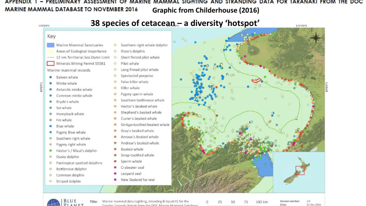 38 species of cetacean a diversity hotspot south taranaki