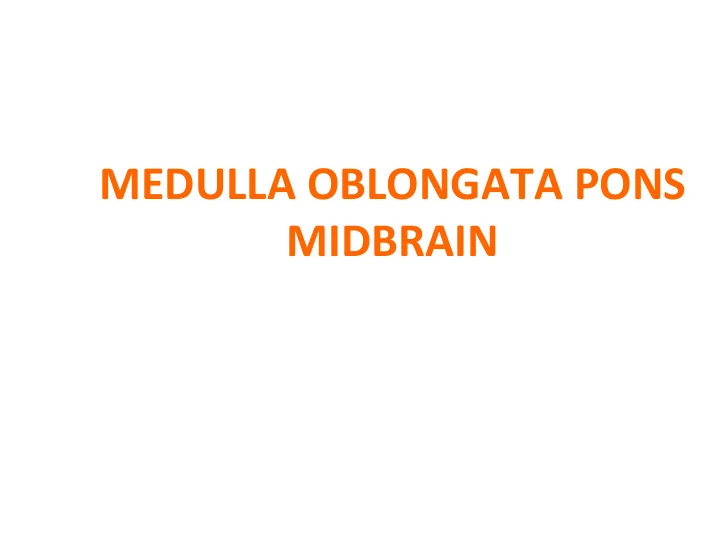 medulla oblongata pons midbrain medulla oblongata