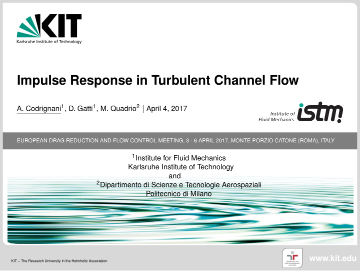 impulse response in turbulent channel flow